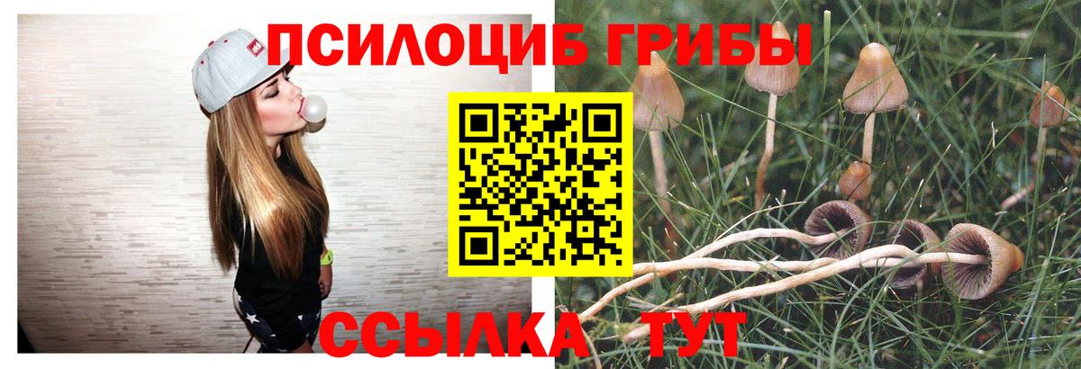 Канаш  Галлюциногенные грибы ЛСД  Вход с VPN 