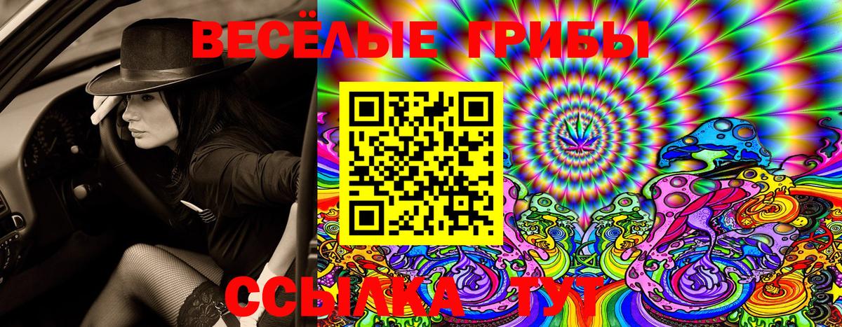 Галлюциногенные грибы GOLDEN TEACHER Канаш